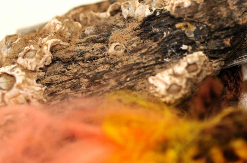 Small driftwood weaving