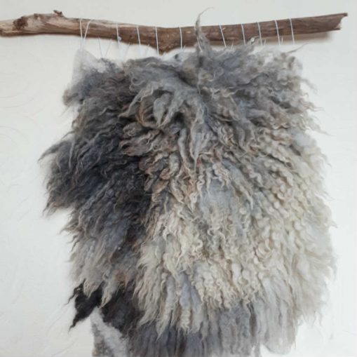 Dora wall art Texel Mule