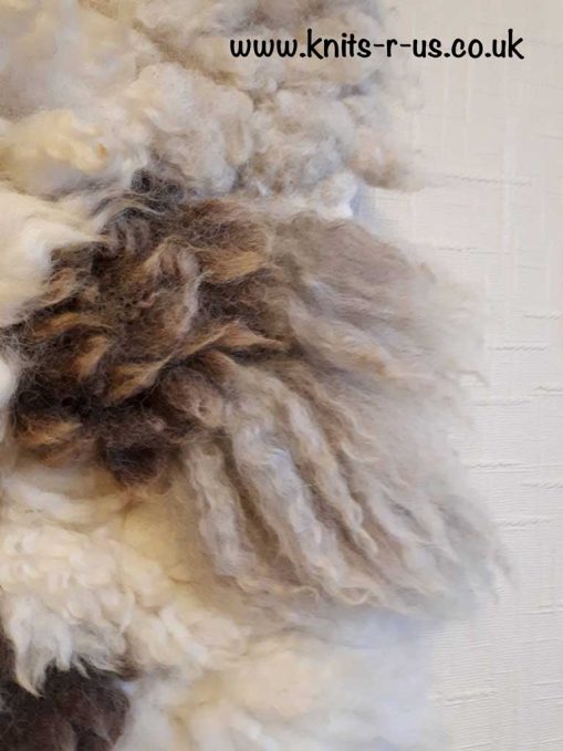 Sheep fleece wall art
