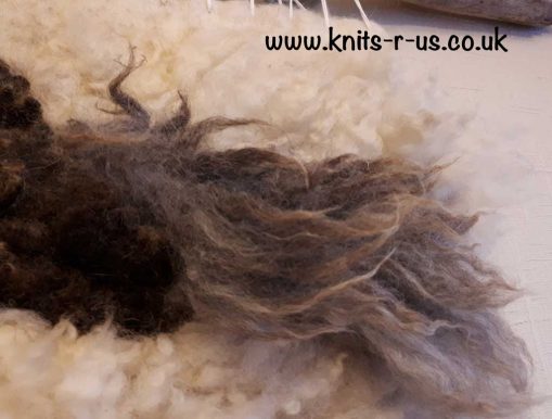 Sheep fleece wall art to enhance walls