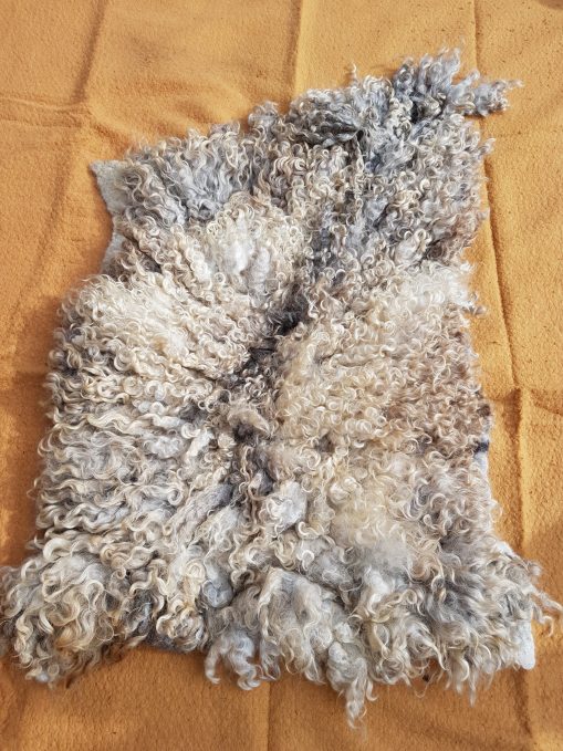 Lincoln loogwool fleece rug wall art