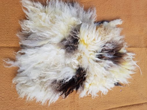 jacob sheep fleece seat pad