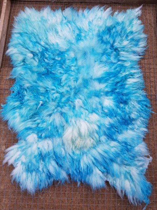 Turquoise Cheviot Sheep Fleece Rug