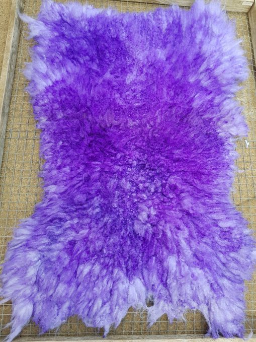 Purple Cheviot Sheep Fleece Rug