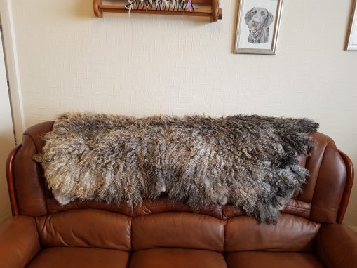 gotland sheep fleece throw rug