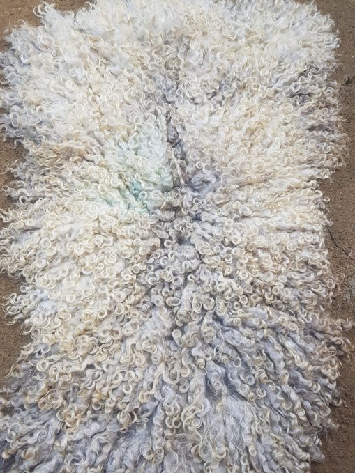 2nd Lincoln longwool sheep fleece rug throw