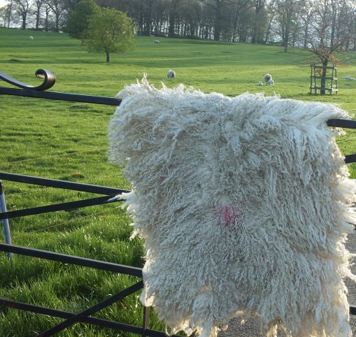 Leicester longwool sheep fleece rug