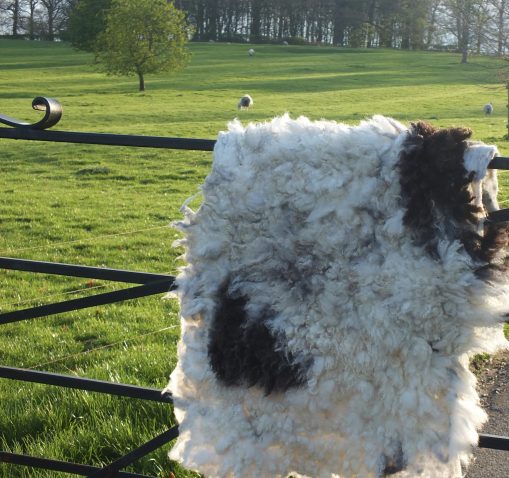 cream & brown Jacob sheep fleece rug throw