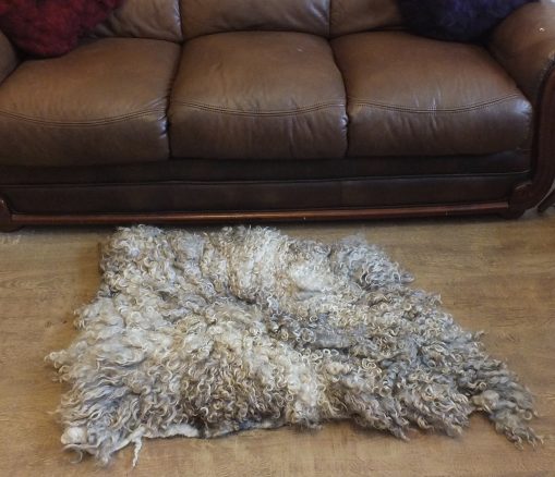 Lincoln loogwool fleece rug wall art