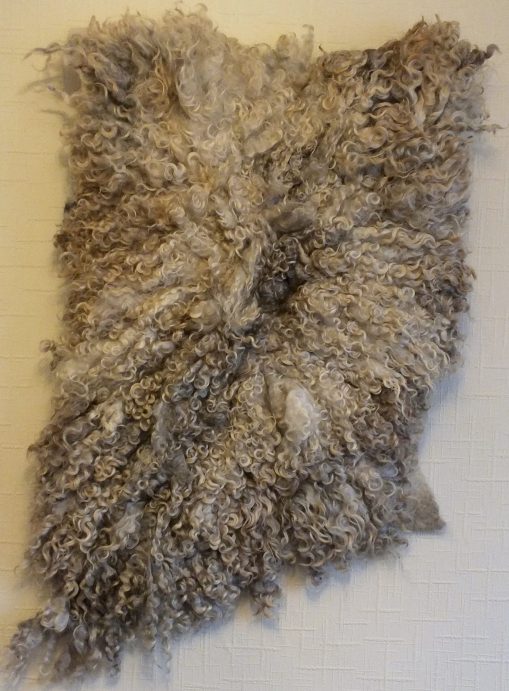 Lincoln loogwool fleece rug wall art