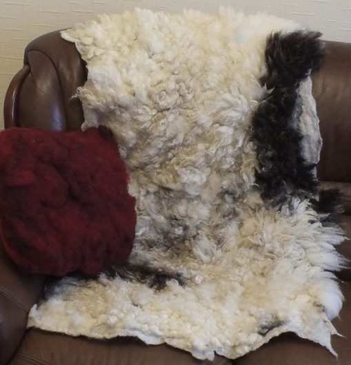 cream & brown Jacob sheep fleece rug throw