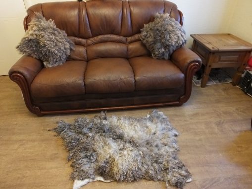 Coloured Lincoln Longwool Rug