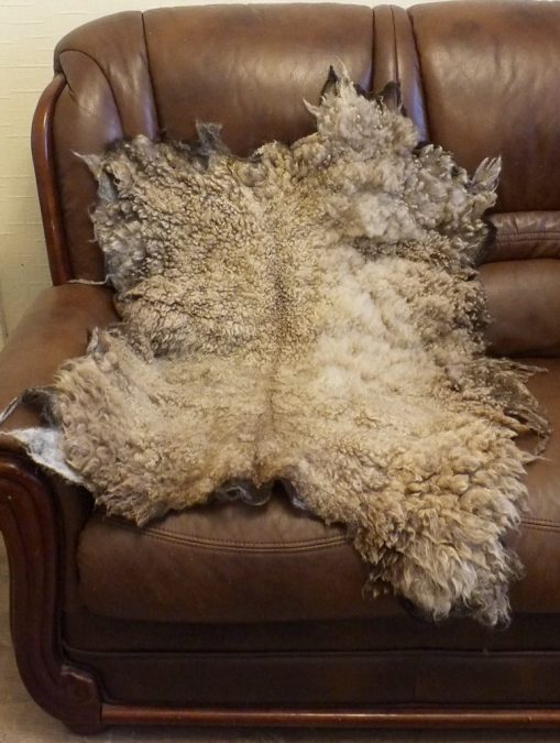 Pet Shetland fleece throw Rug