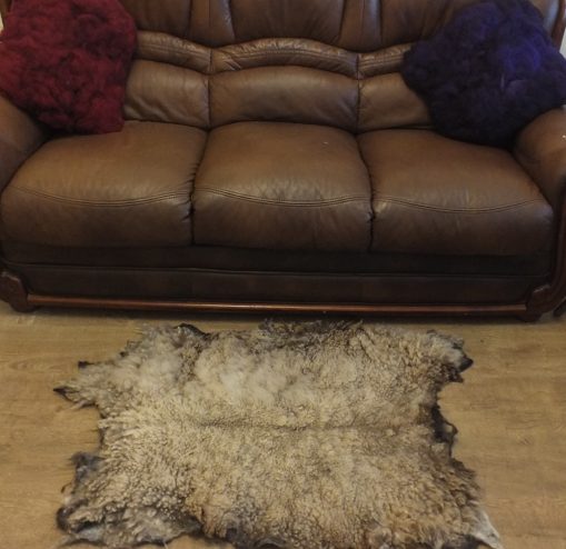 Pet Shetland throw Rug