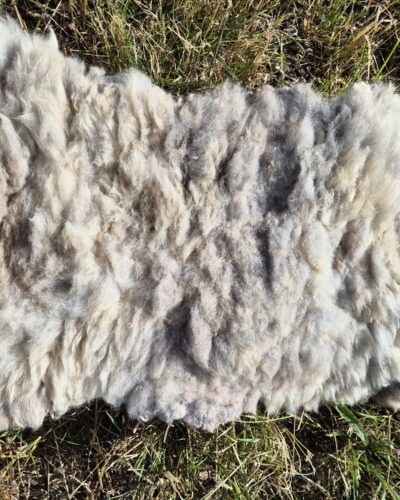 Light Brown Ryeland Sheep Fleece Wool Rug / Throw