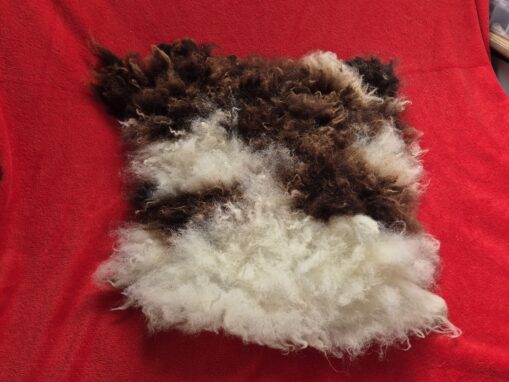 wet felted jacob sheep seat pad pet bed