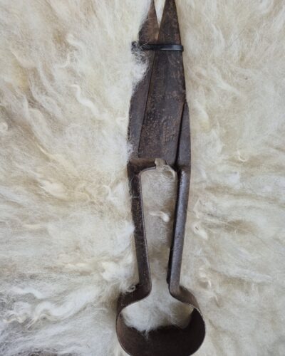 old fashioned hand shears