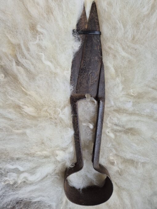 old fashioned hand shears