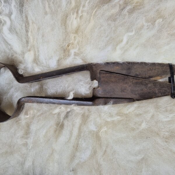 12 " sheep shears