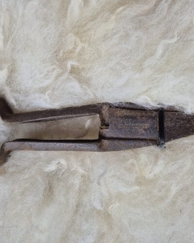 hand sheep shears