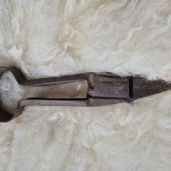 hand sheep shears
