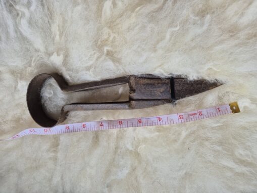 rusty sheep shearers