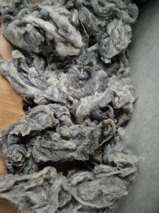Blue Texel Fleece