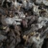 Dark blue texel fleece
