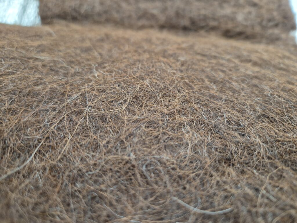 The coarse hairs in the seconds of alpaca fleece stay hairy